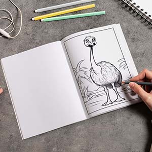 Ostrich coloring book for kids unique ostrich coloring pages for kids boys girls toddlers preschoolers kindergarten funny stress relieving awesome ostrich designs for children relaxation dana publishing books
