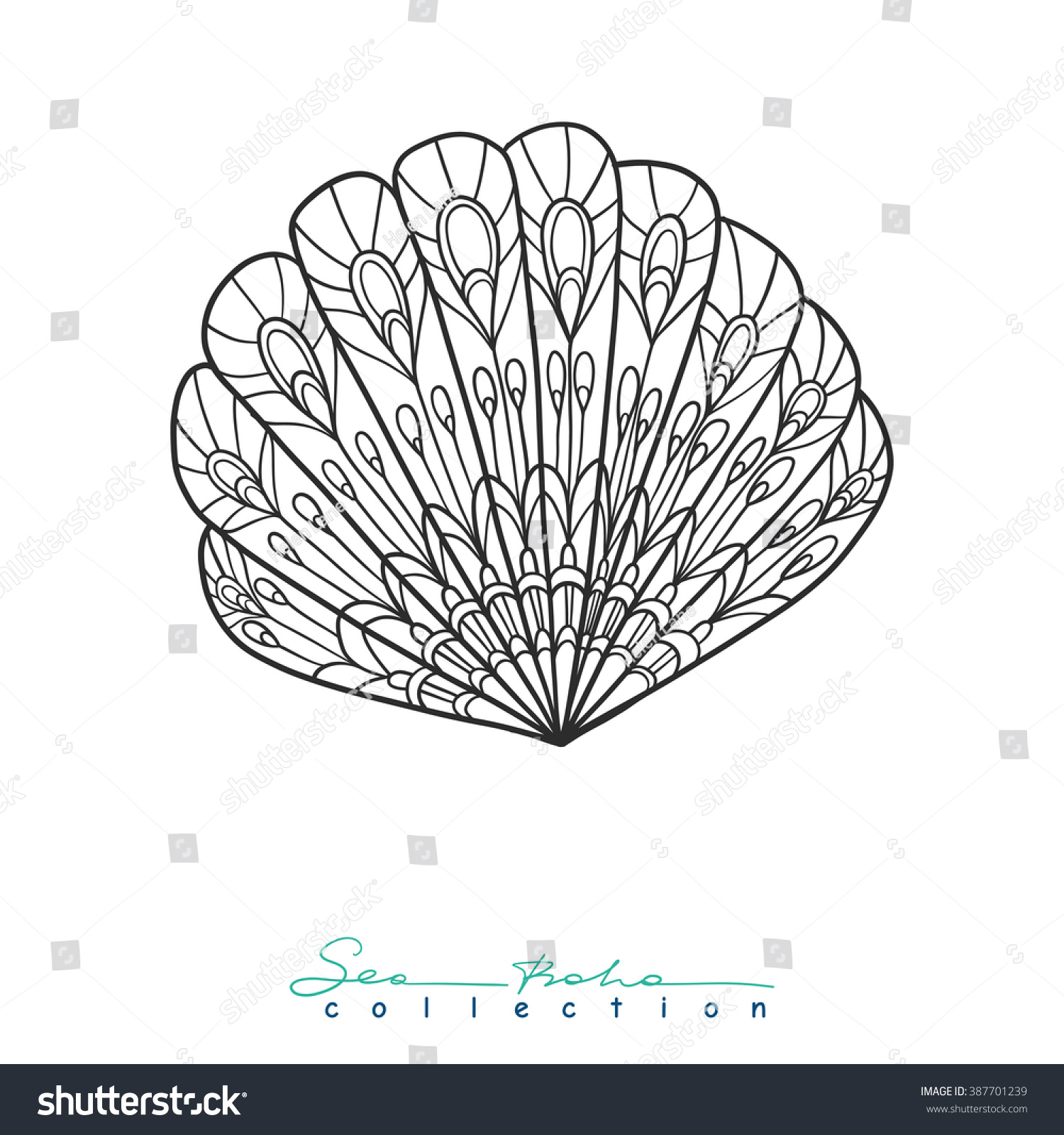 Decorative sea shell outline drawing coloring stock vector royalty free