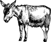 Vintage overloaded donkey coloring page free printable coloring pages