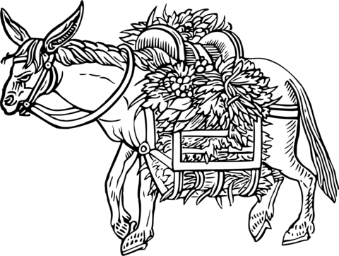 Vintage laden donkey coloring page free printable coloring pages