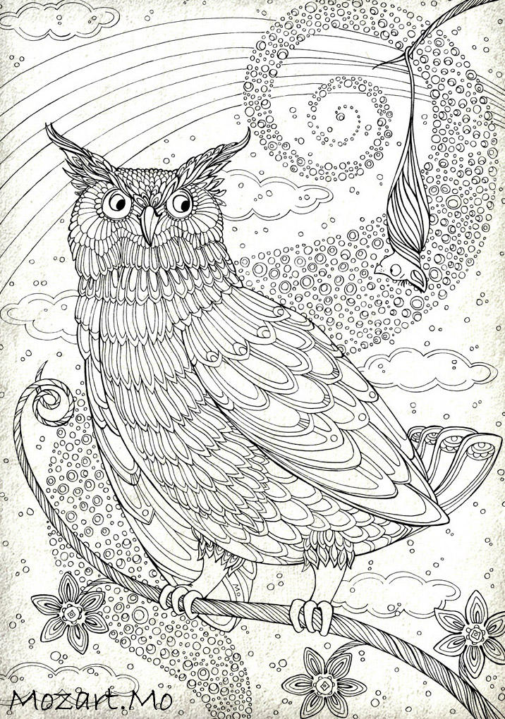 Owl and little bat coloring book for children by mozartmo on