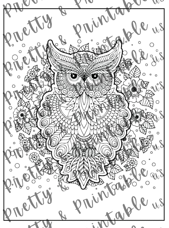 Printable owl coloring page instant download pdf