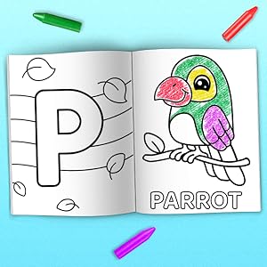Abc coloring book color animals birds vehicles fruits toys alphabets for boys girls coloring book for toddlers and preschool kids book and coloring pages kids ages