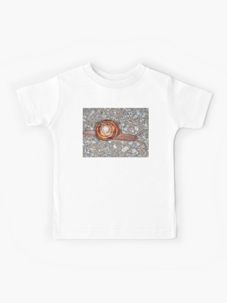 Pacific sideband snail monadenia fidelis kids t