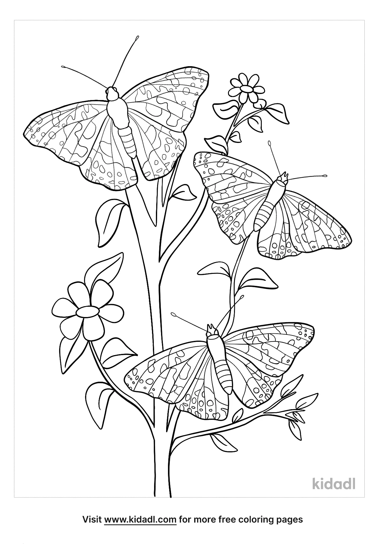 Free painted lady butterfly coloring page coloring page printables