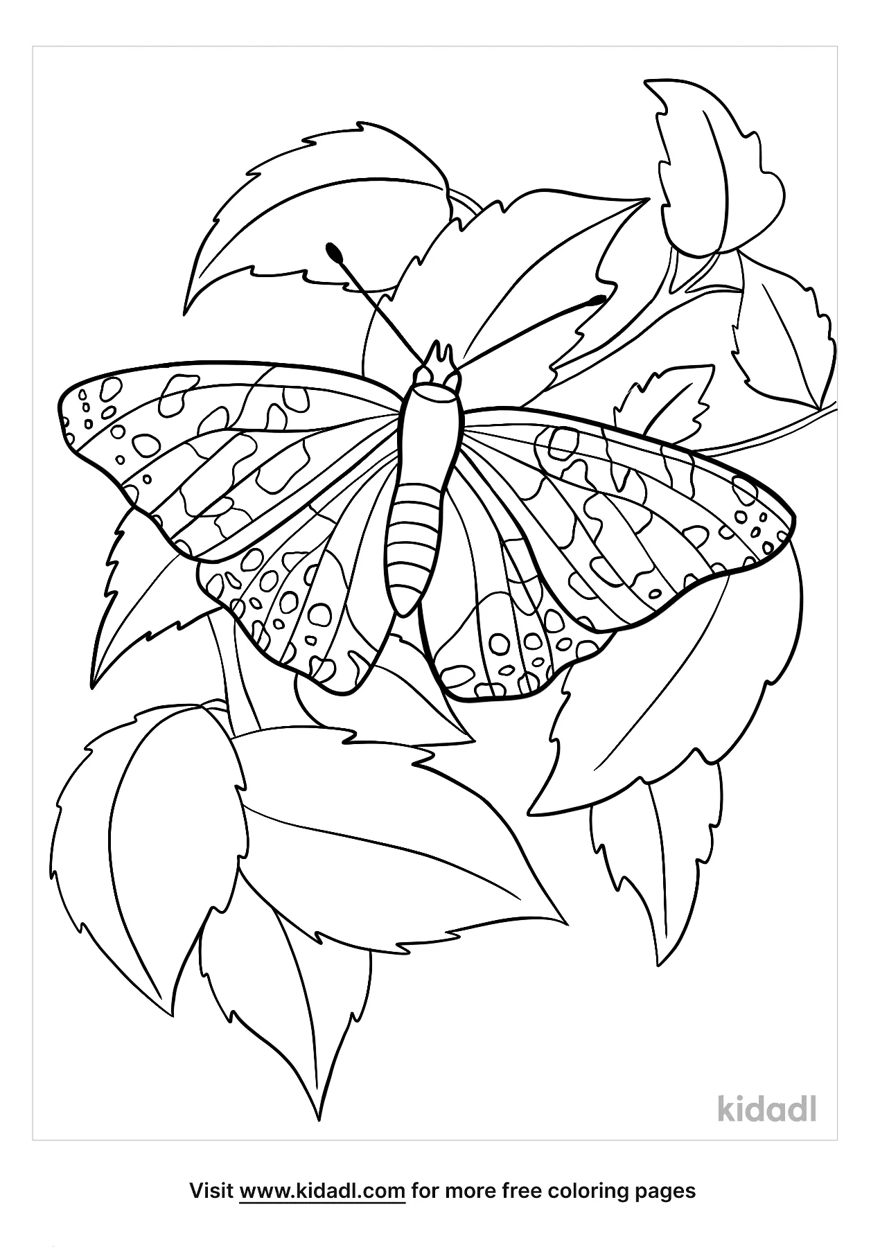 Free painted lady butterfly coloring page coloring page printables