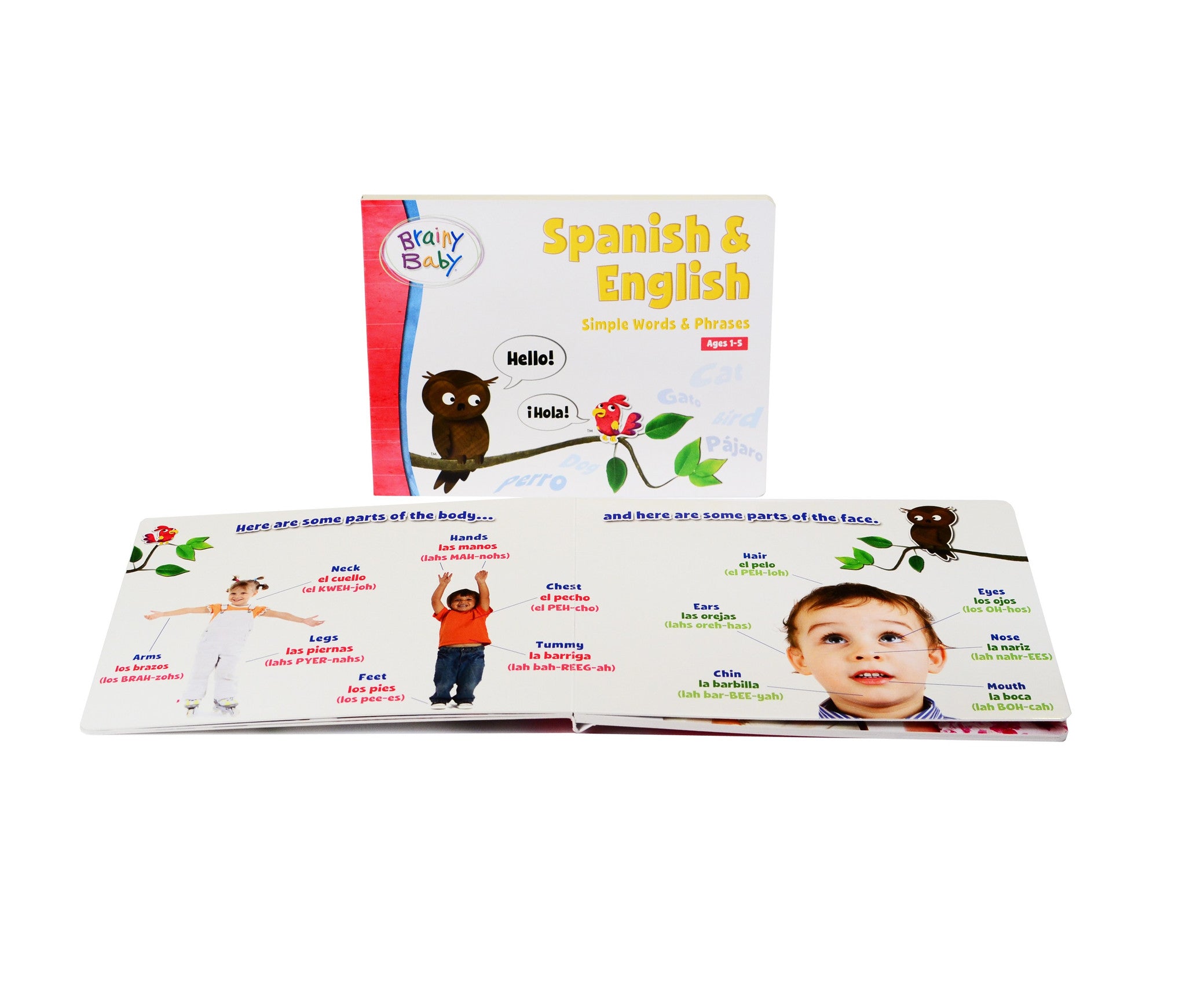 Brainy baby spanish english board book words and phrases for kids â the brainy store