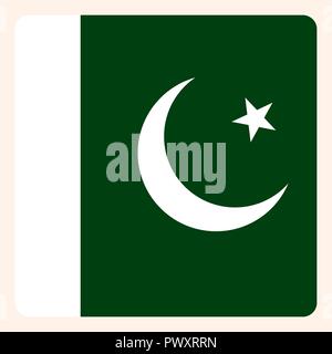 Simple flag pakistan icon isolated on white background stock vector image art