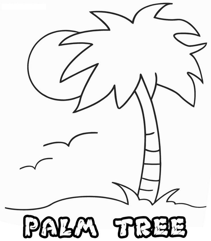 Swaying palm tree coloring page tree coloring page leaf coloring page coloring pages