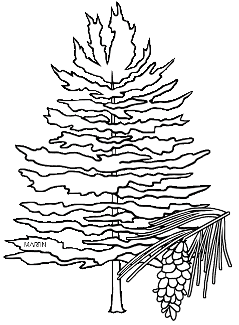 United clip art by phillip martin state tree of arkansas