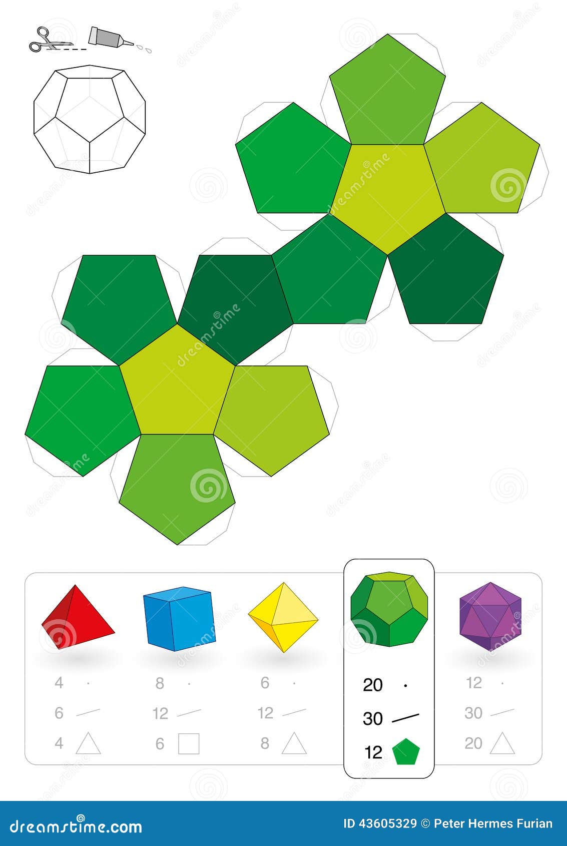 Paper model dodecahedron stock vector illustration of mathematics