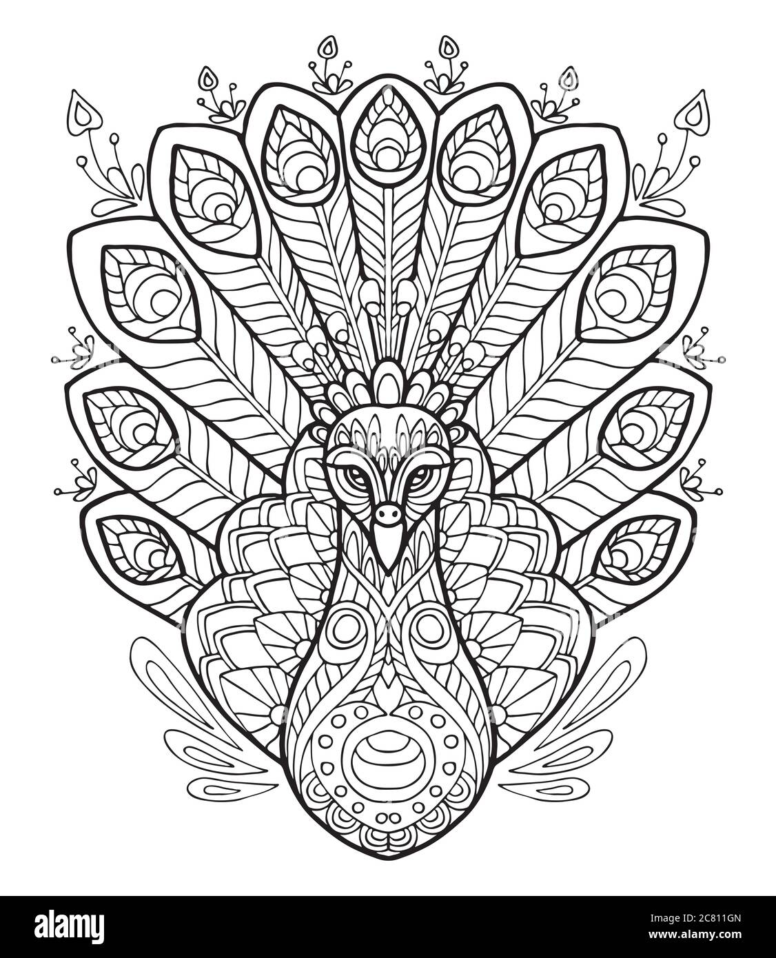 White peacock painting hi
