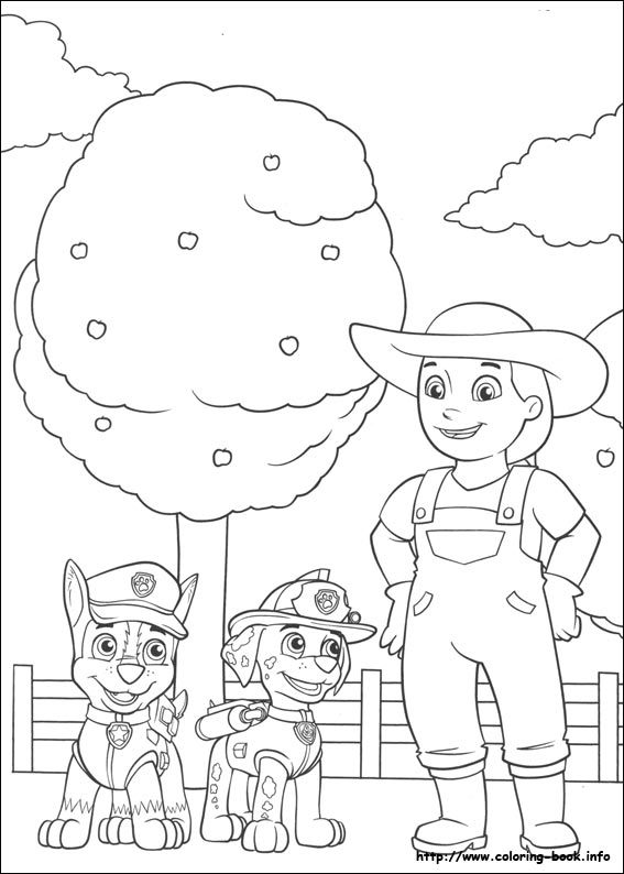 Paw patrol coloring picture