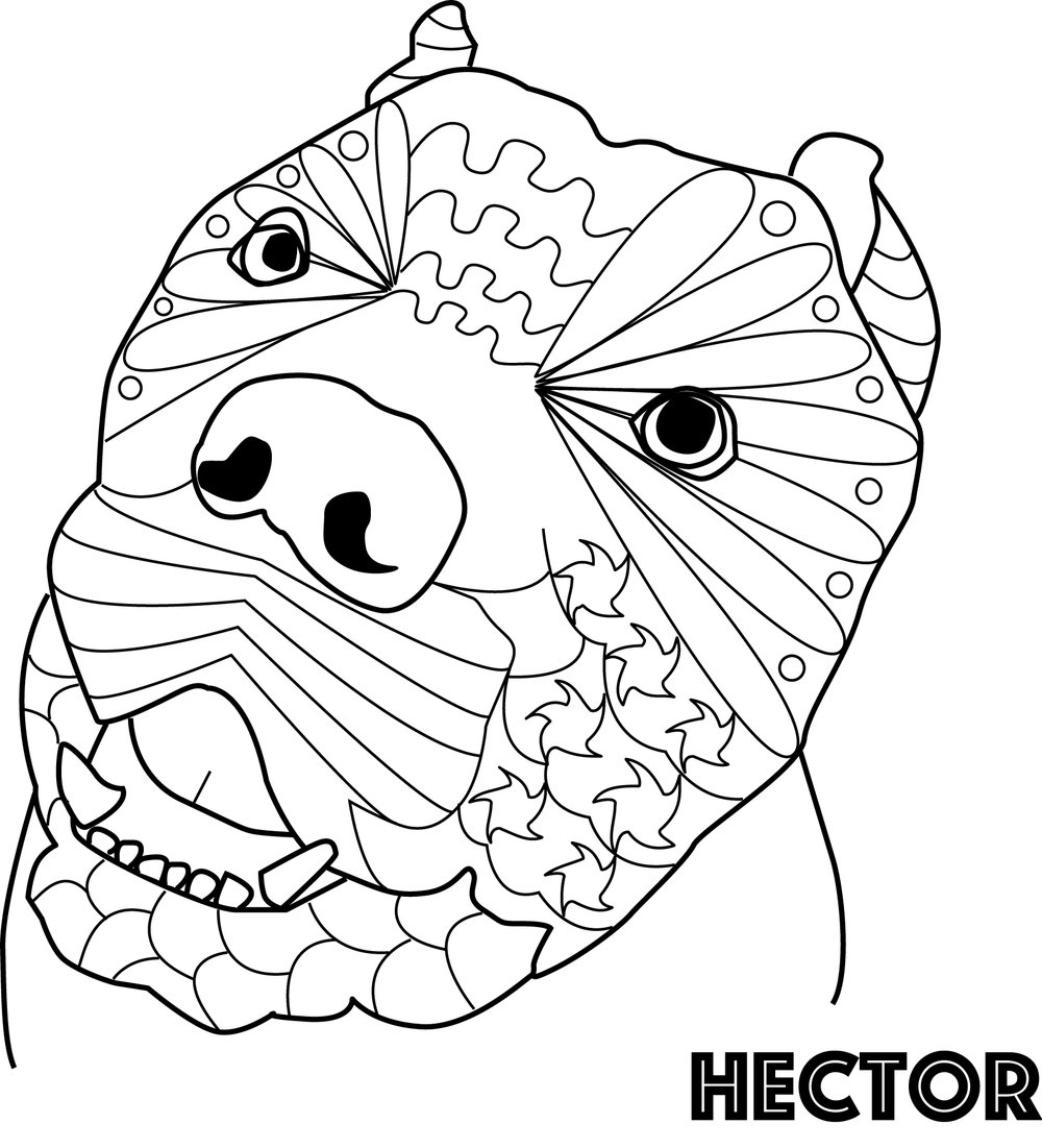 Paw prints in the sand adult coloring book with colored pencils in a hand