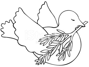 Peace dove carrying an olive branch drawing stock vector royalty