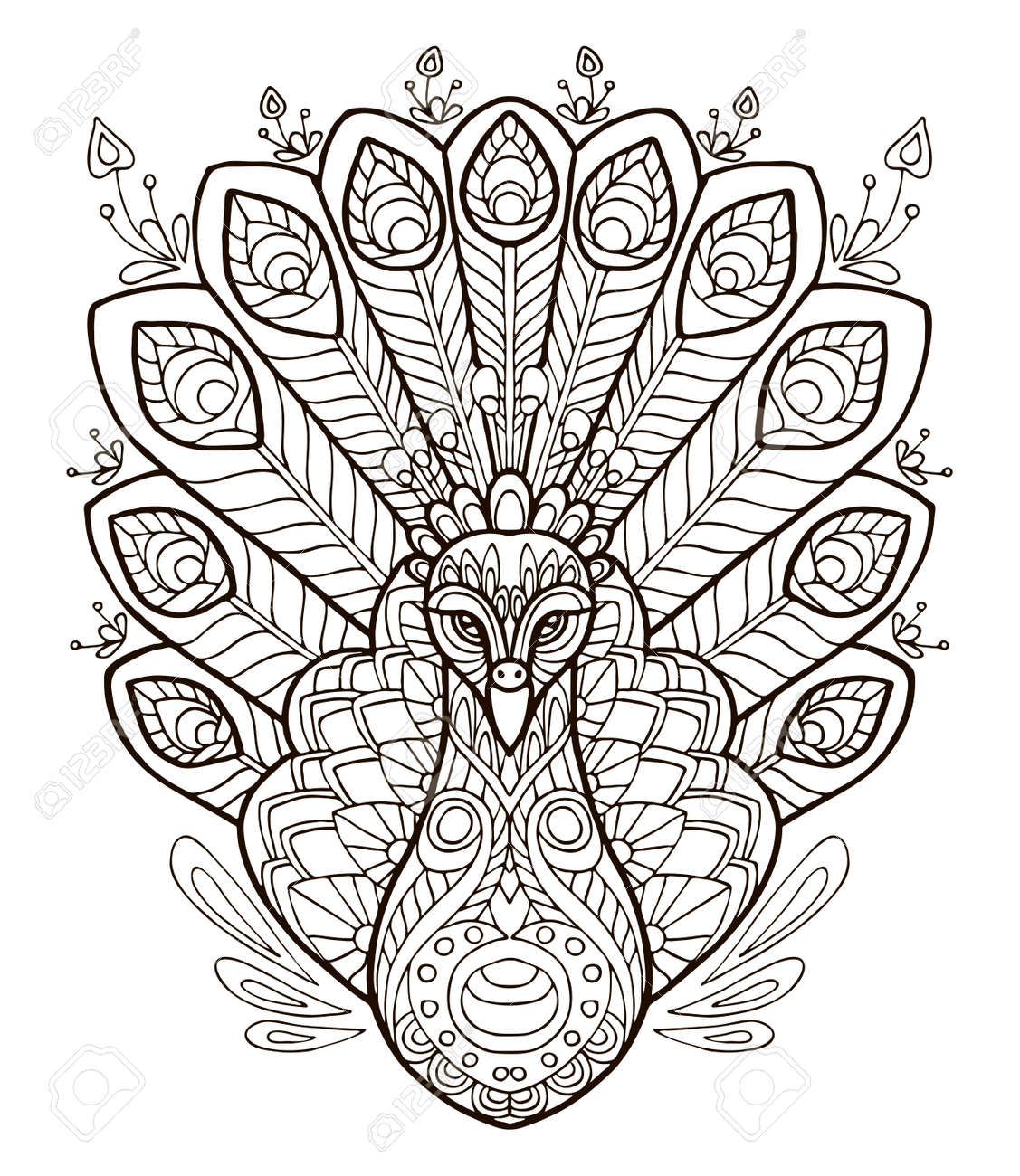 Vector coloring ornamental portrait of peacock decorative abstract vector contour illustration isolated on white background stock illustration for adult coloring design print decoration and tattoo royalty free svg cliparts vectors and stock