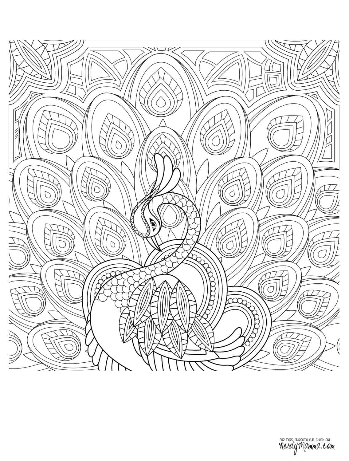Free printable adult coloring pages