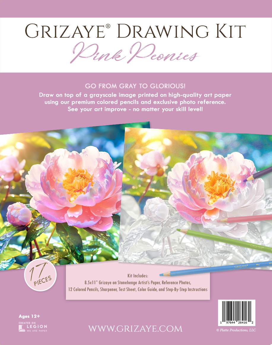 Drawing kit pink peonies art