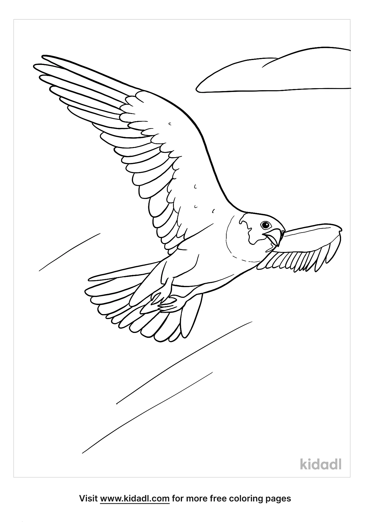 Free peregrine falcon coloring page coloring page printables