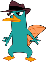Perry the platypus