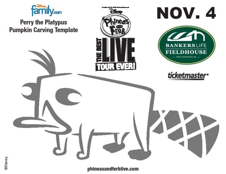 Disneys phineas and ferb pumpkin carving stencil template