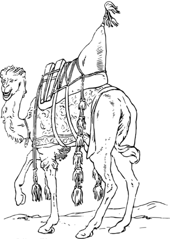 Vintage happy camel coloring page free printable coloring pages