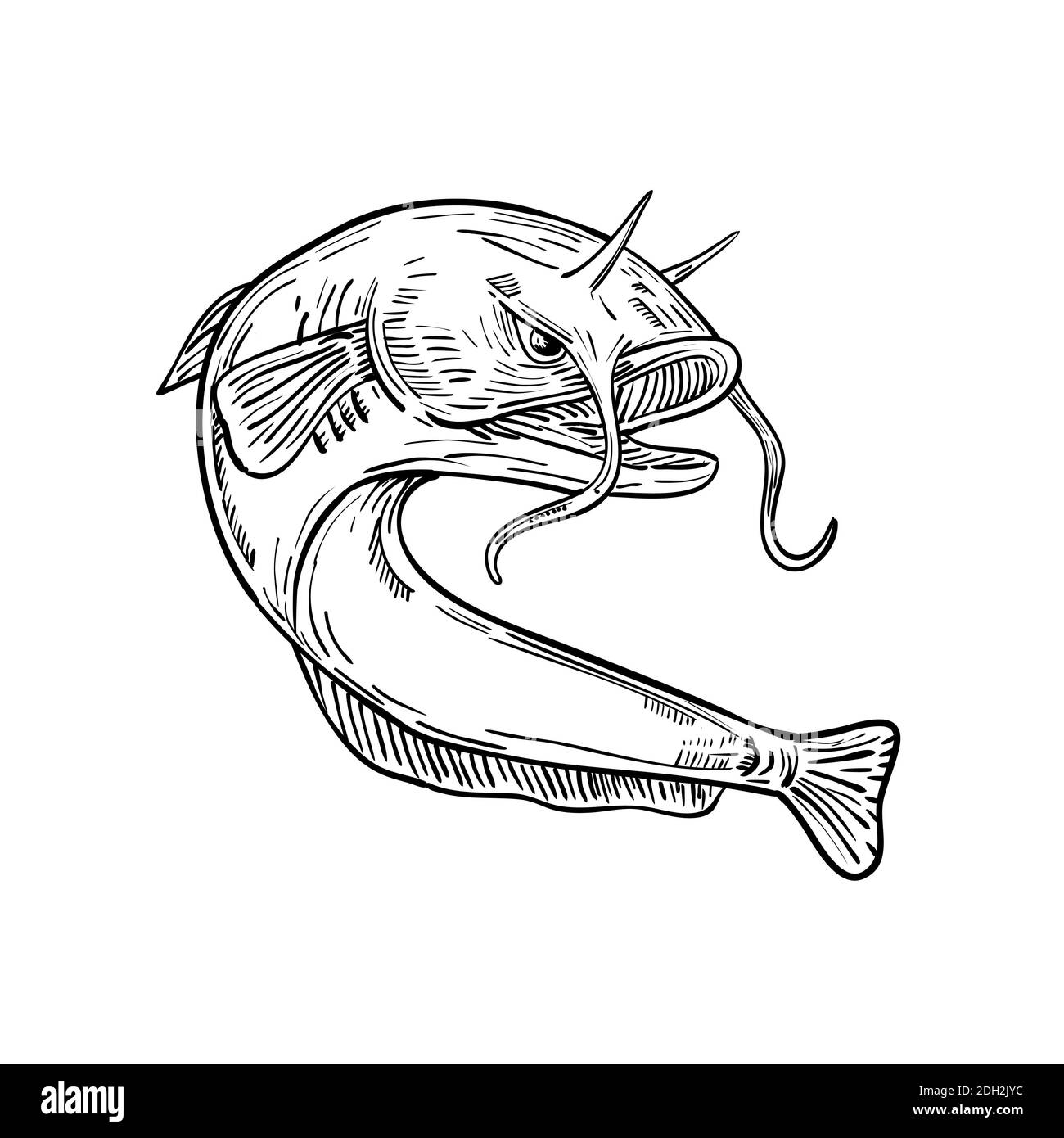 Devil fish black and white stock photos images