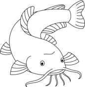 Dibujo de pez gato americano para colorear dibujos para colorear imprimir gratis