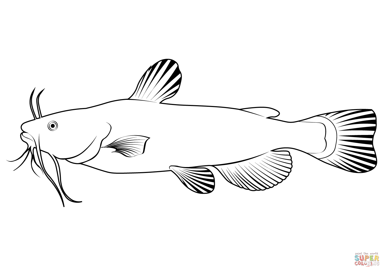 Dibujo de pez gato ameiurus melas para colorear dibujos para colorear imprimir gratis