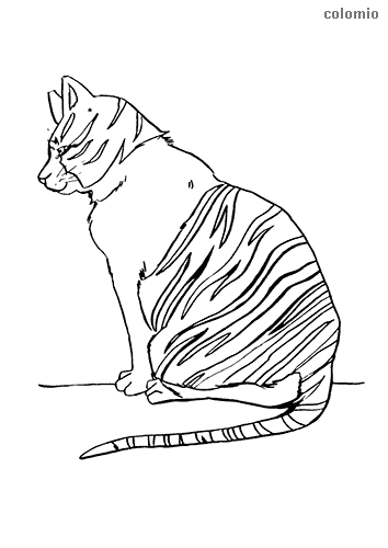 Animals coloring pages free printable animals coloring sheets