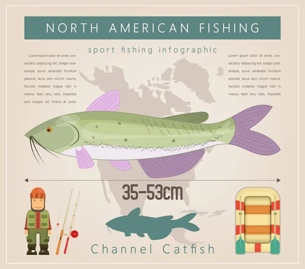 Freshwater fish north america infographic poster fishing club vector illustration stock vector by elfivetrov