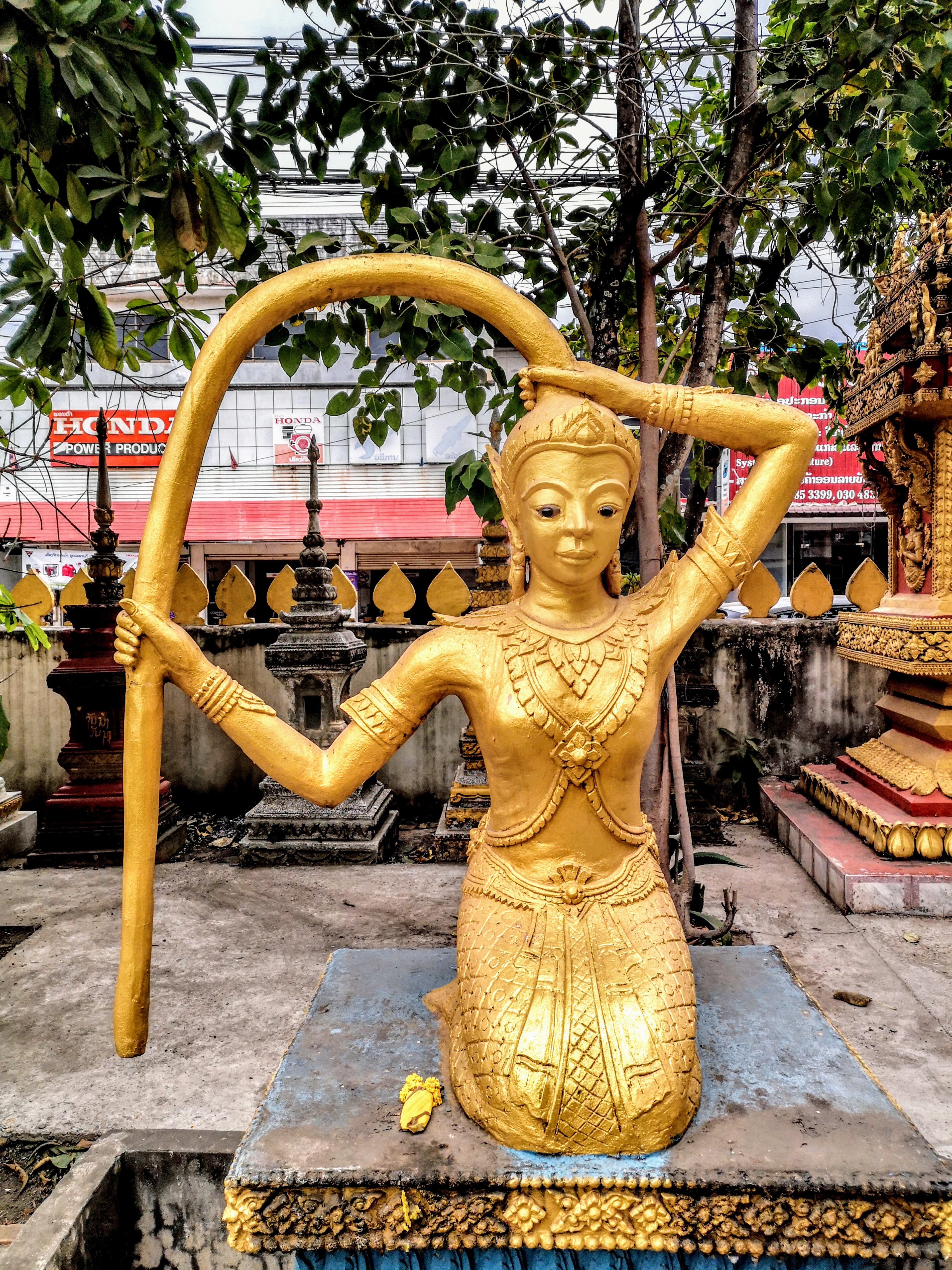Filephra mae thorani