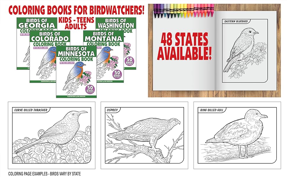 Birds of connecticut coloring book for kids teens adults a collection of mon unique birds of connecticut for bird watchers to identify and color morrison sam books