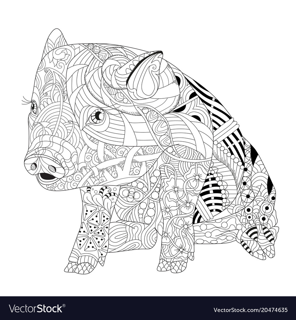 Piggy coloring book for adults royalty free vector image