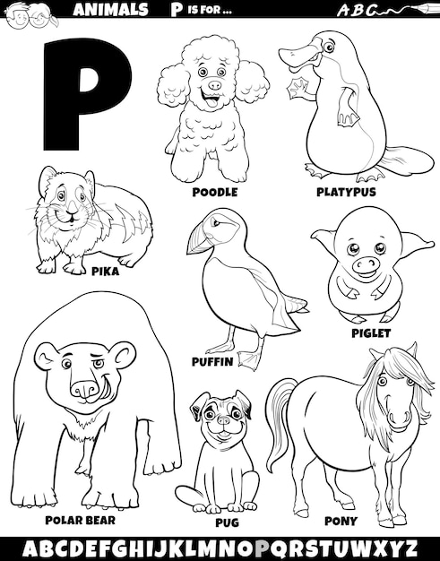 Pika vectors illustrations for free download