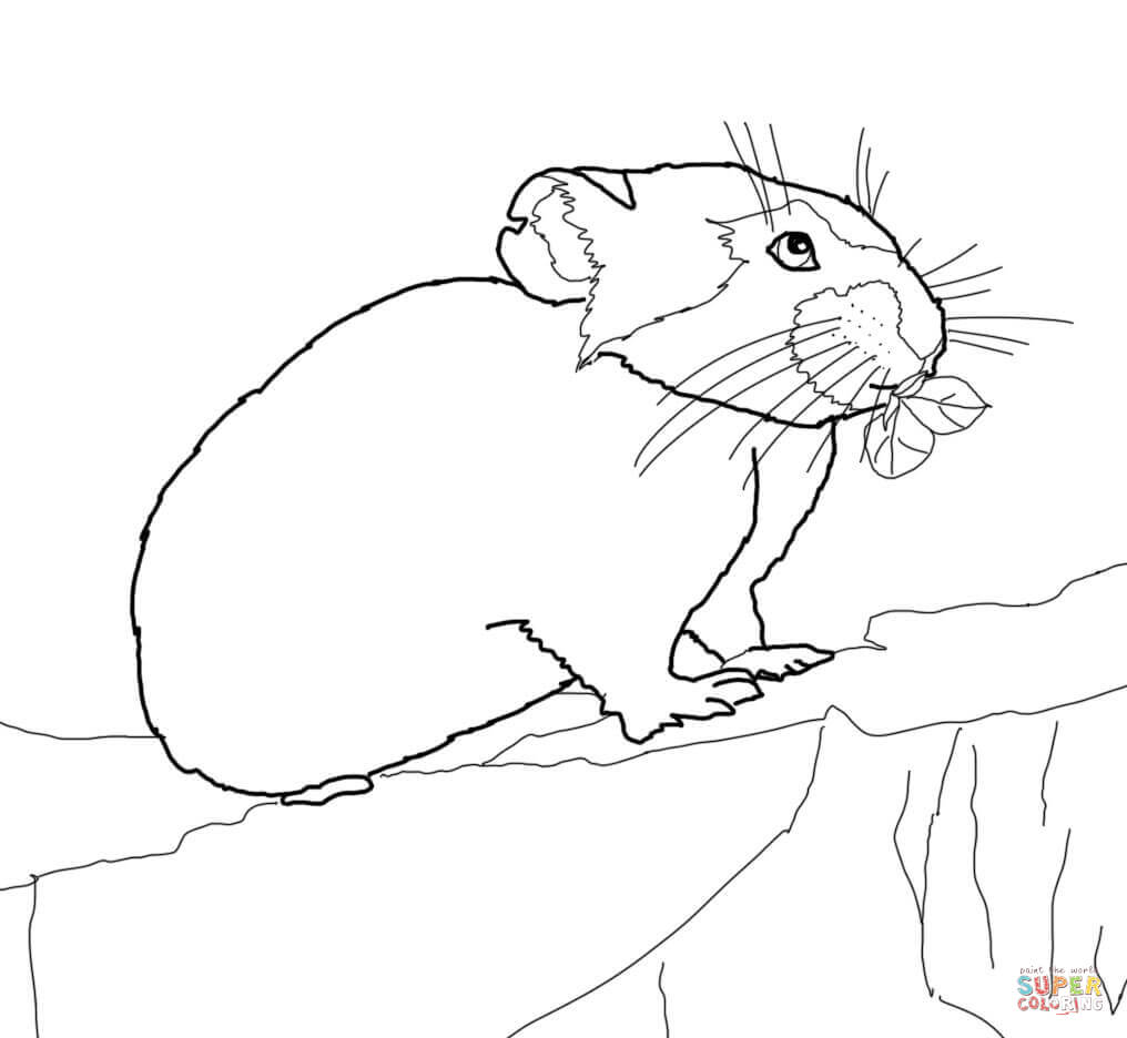 Pika coloring page free printable coloring pages