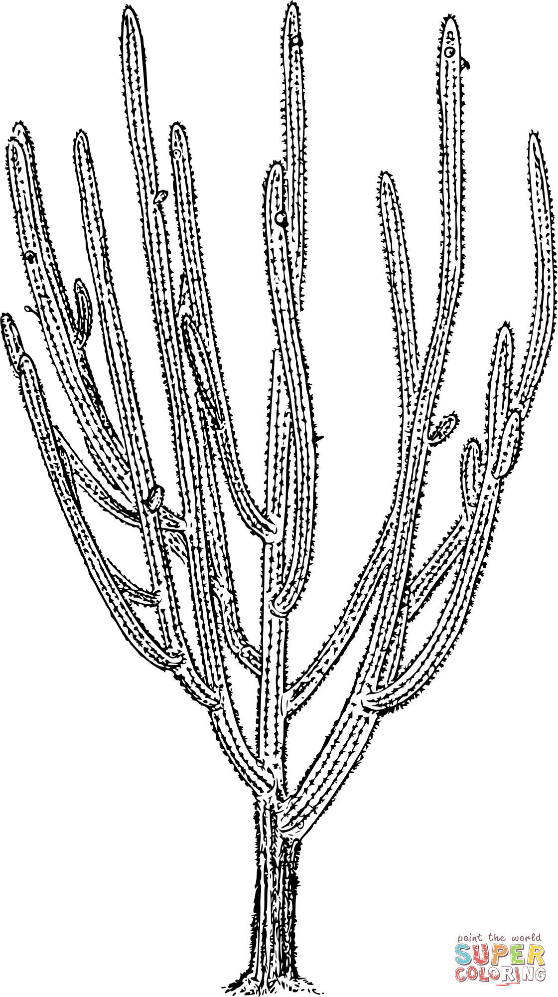Vintage pilosocereus royenii coloring page free printable coloring pages