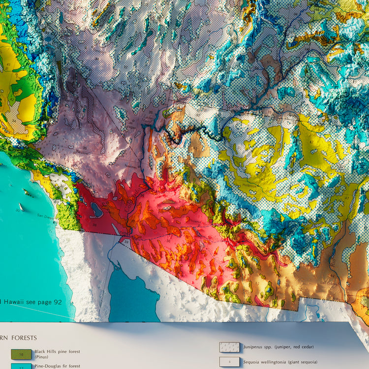 Vintage relief map of usa natural vegetation muir way