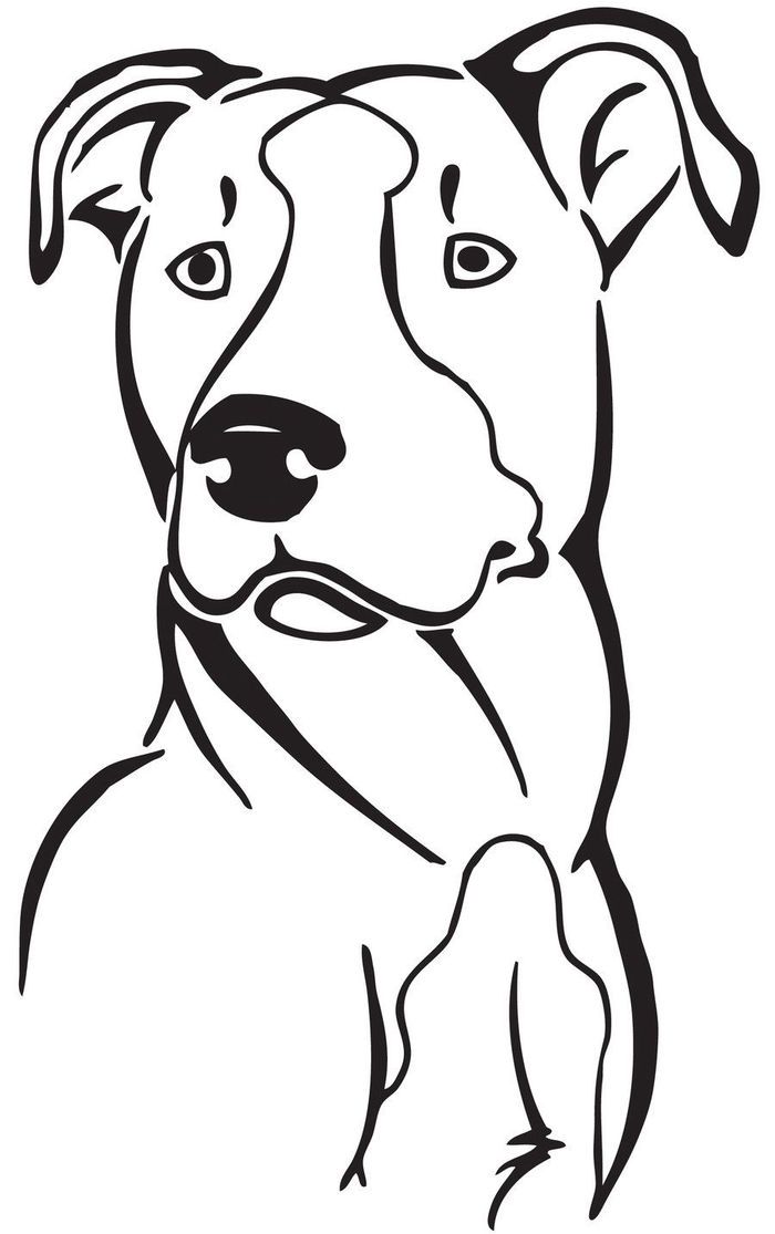 Pitbull coloring pages pdf