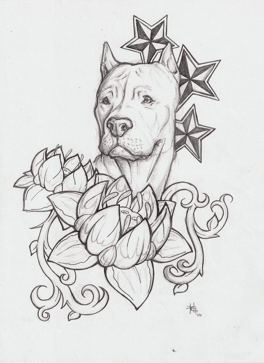 New pitbull drawing by brooklynseymour on