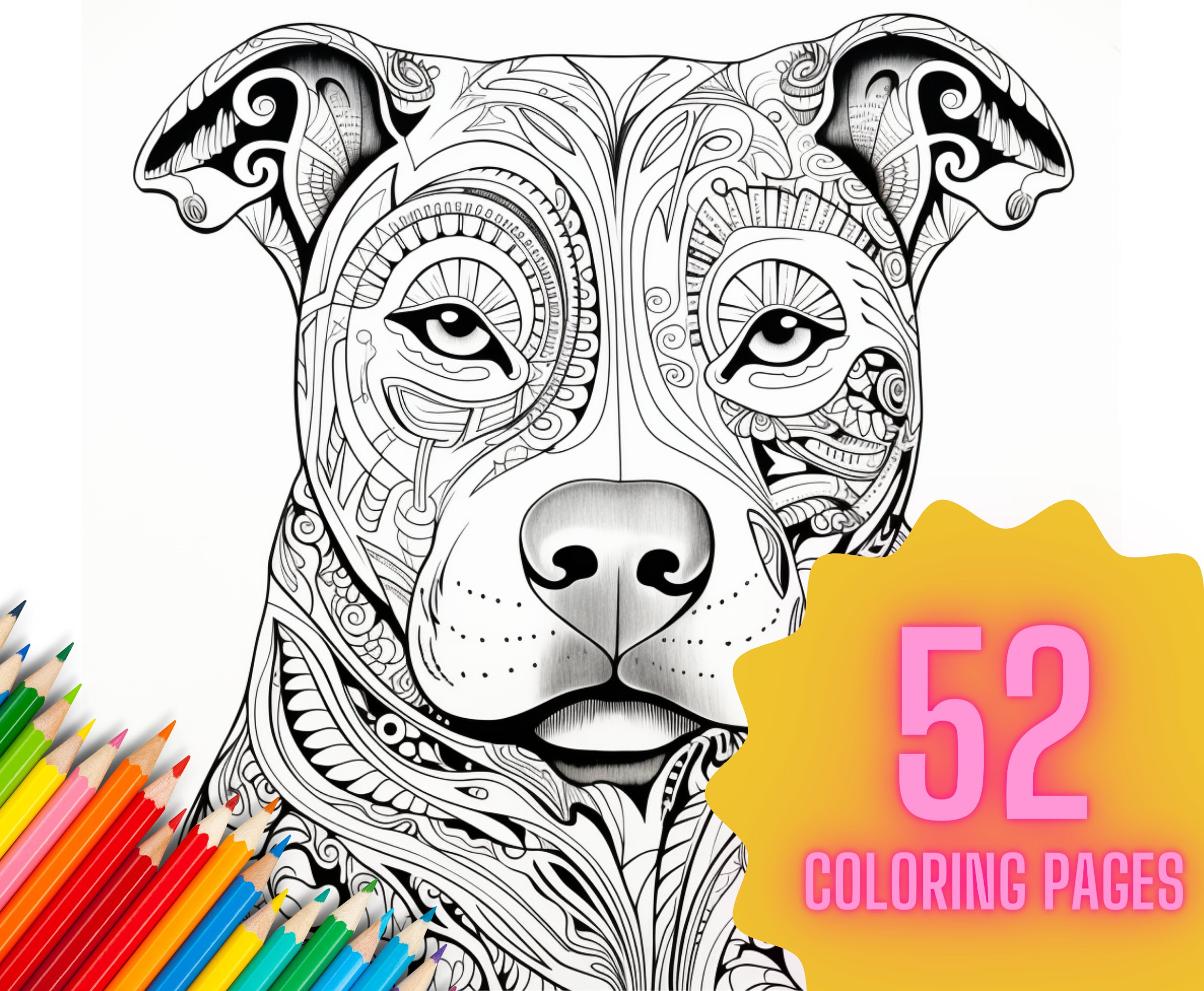 Pitbulls coloring