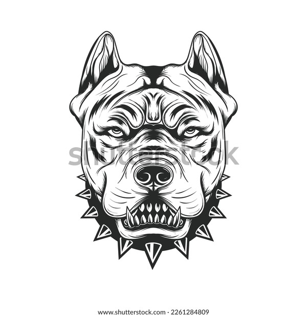 Pitbull head drawing images stock photos d objects vectors