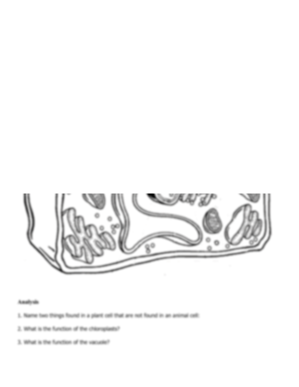 Solution animal and plant cell coloring