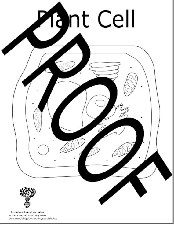 Plant cell coloring sheet