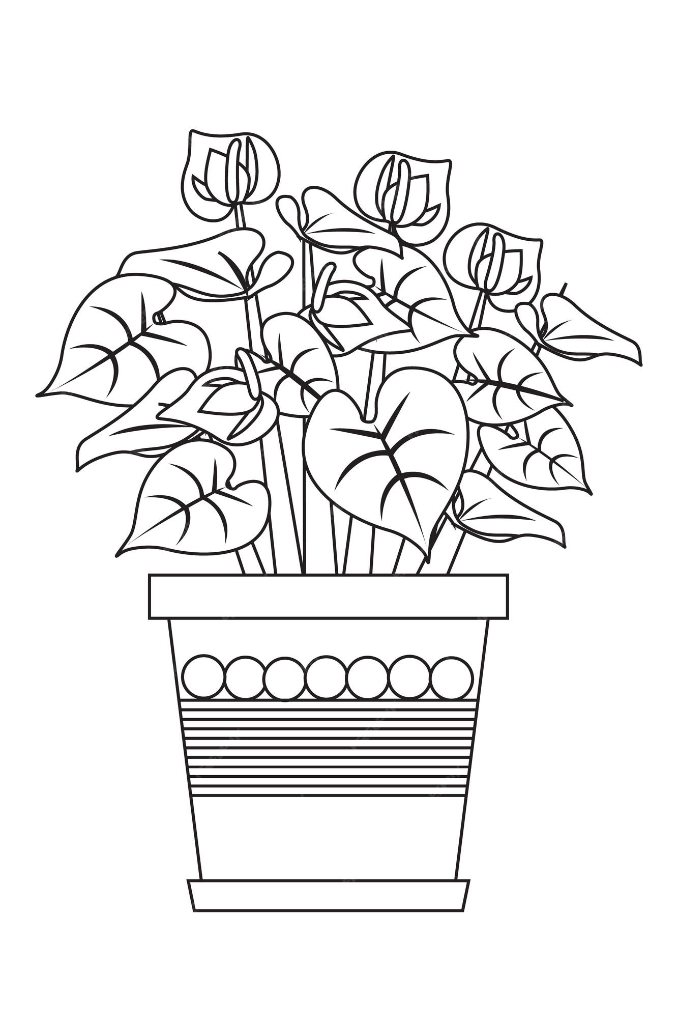 Premium vector a vector of indoor plant with decorated pot in black and white coloring page