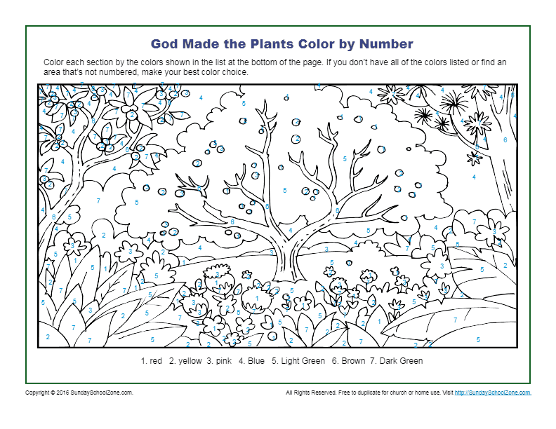 God made the plants color by number