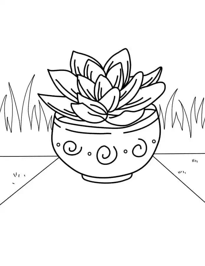 Coloring pages of plants âfor free