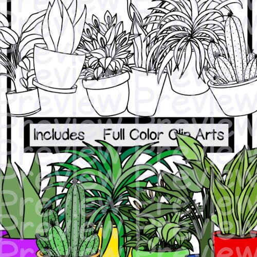 House plants clip arts made by teachers