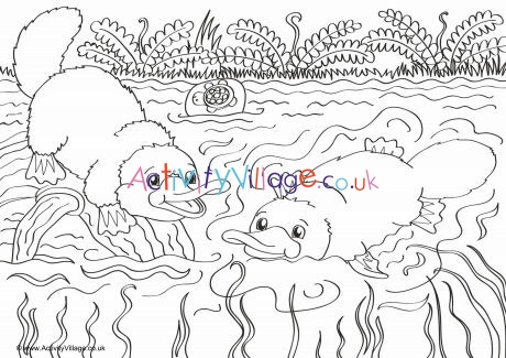 Platypus scene louring page