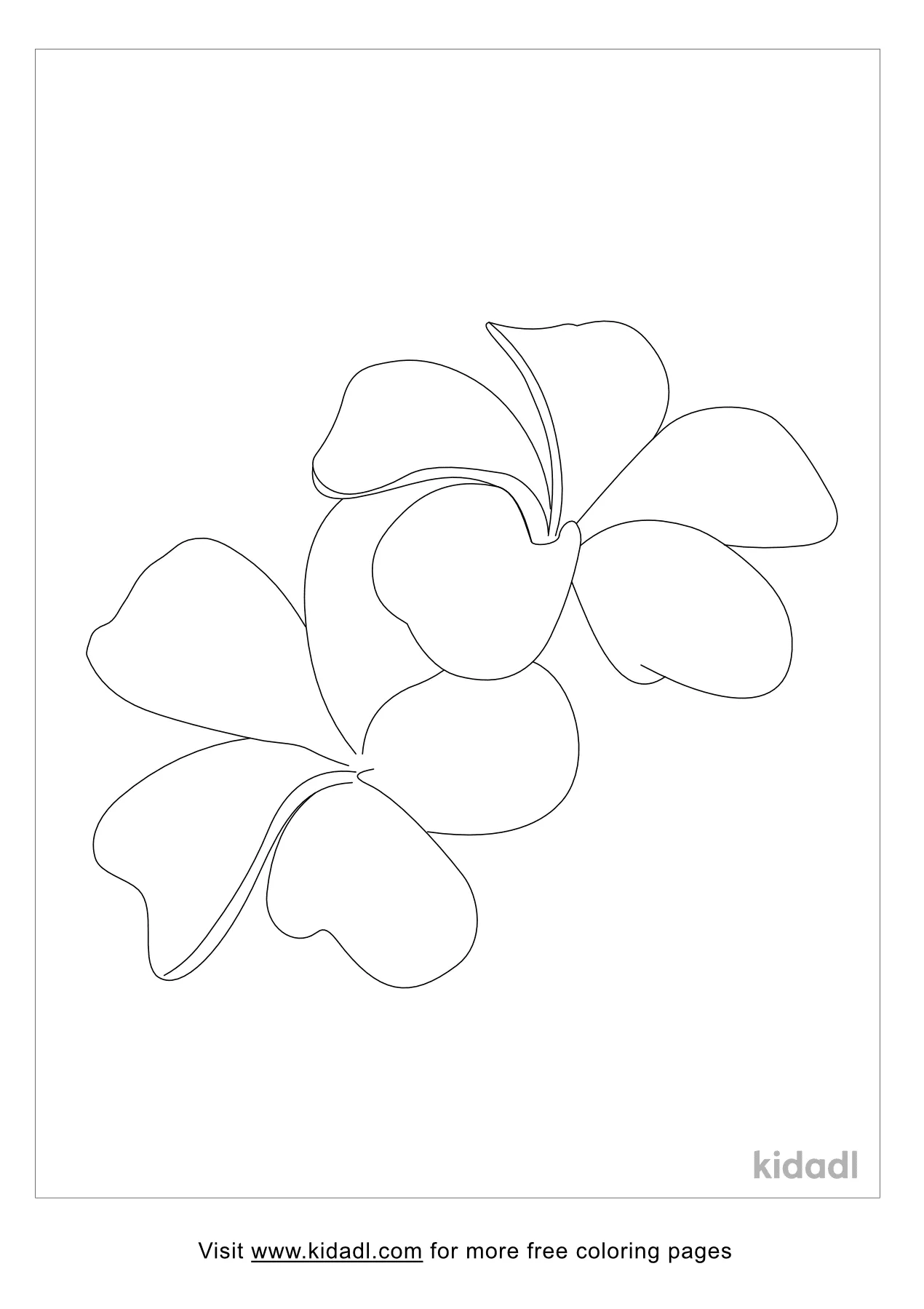 Free plumeria coloring page coloring page printables